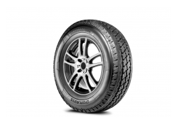 Bridgestone DURAVIS R630